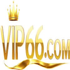 VIP66VN